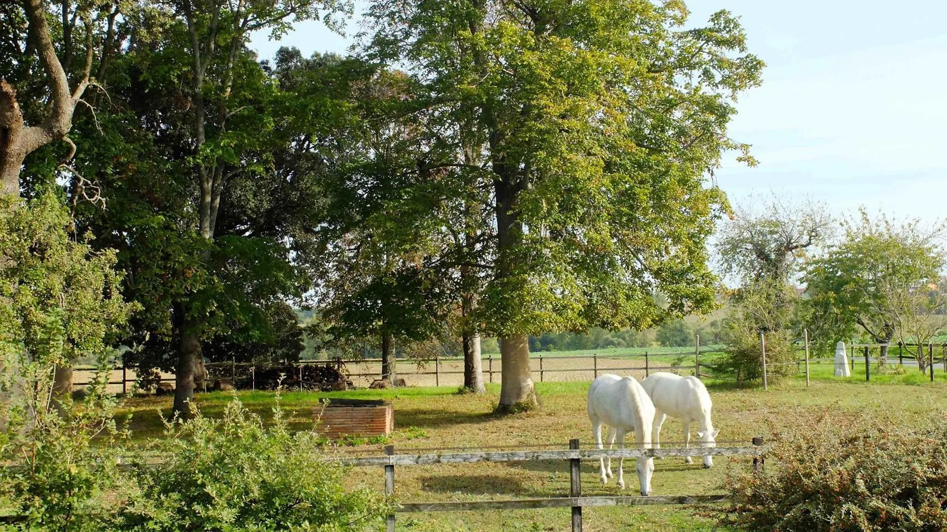 Le Cavalier Villa Caraman 0*,  France